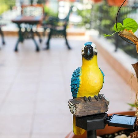 Family Hotel Deykin Slăntjev Brjag Exteriör bild